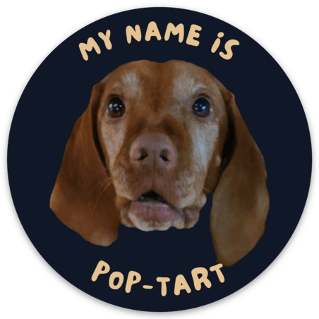 My Name is Pop-Tart